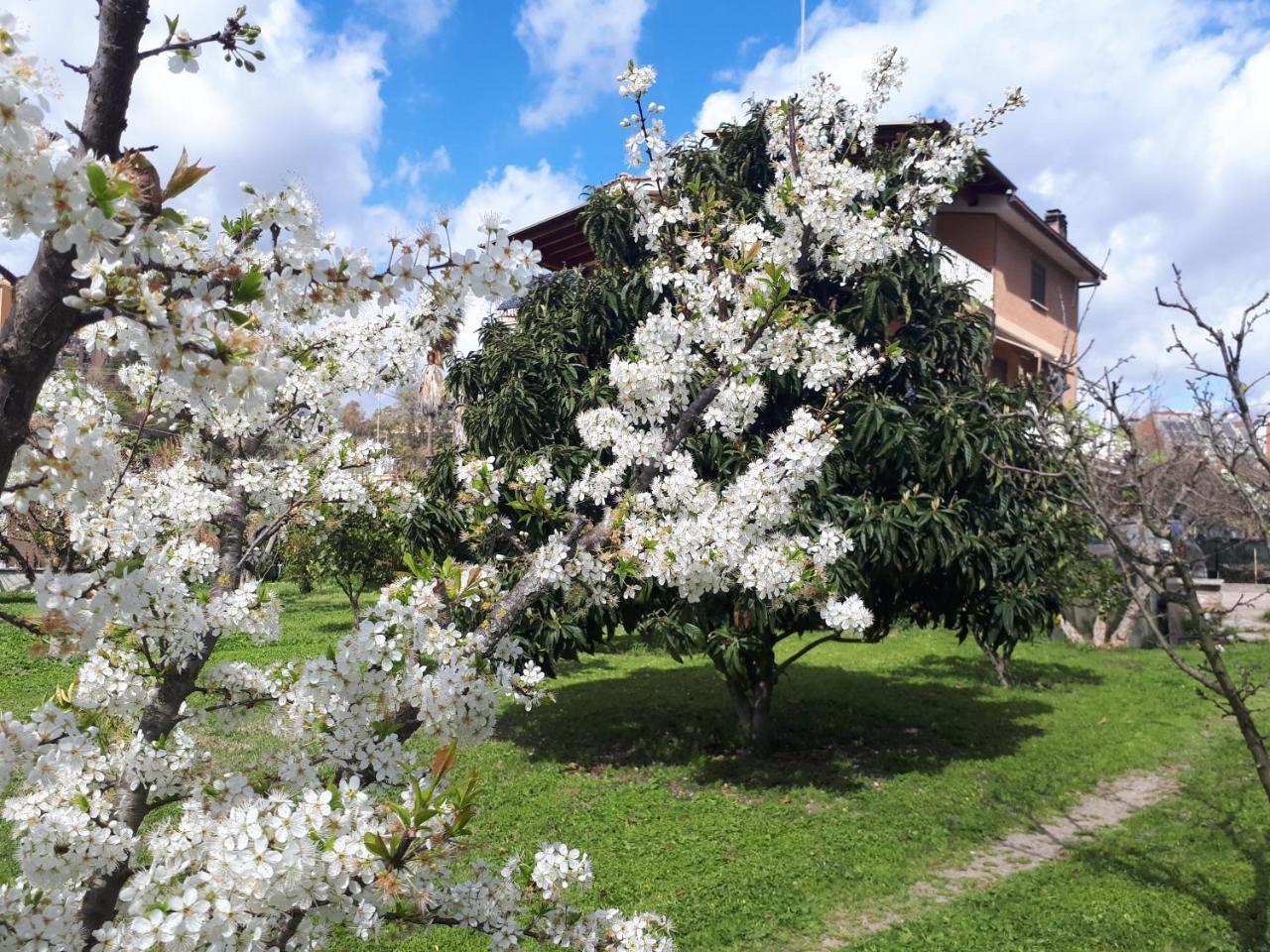 Bed & Breakfast Il Giardino Di Gabri Roma